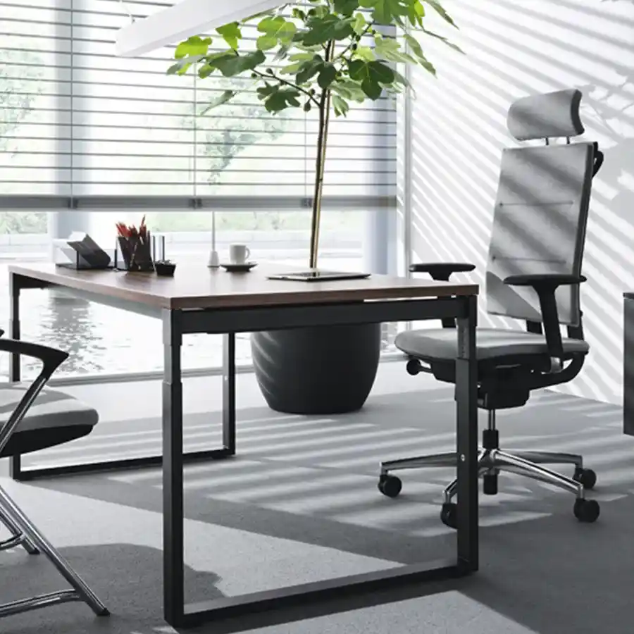 chaise bureau ergonomique