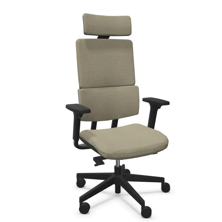 chaise bureau ergonomique