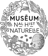 LSR PRO Équipements