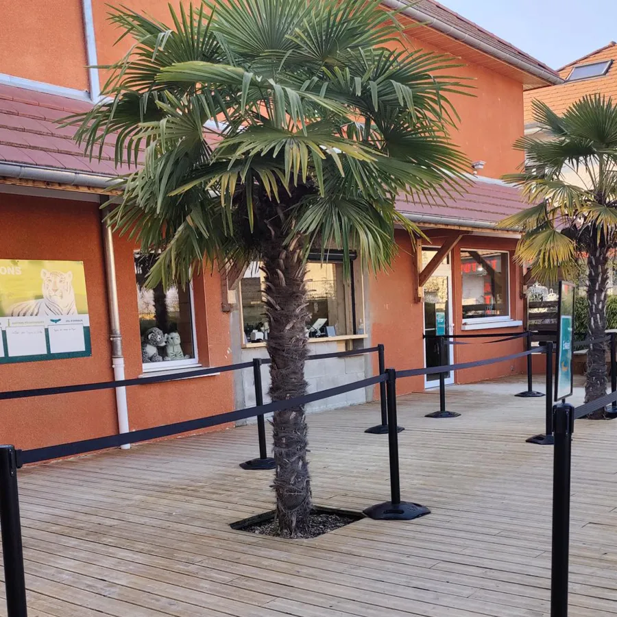 gestion file d'attente par potelet à sangle